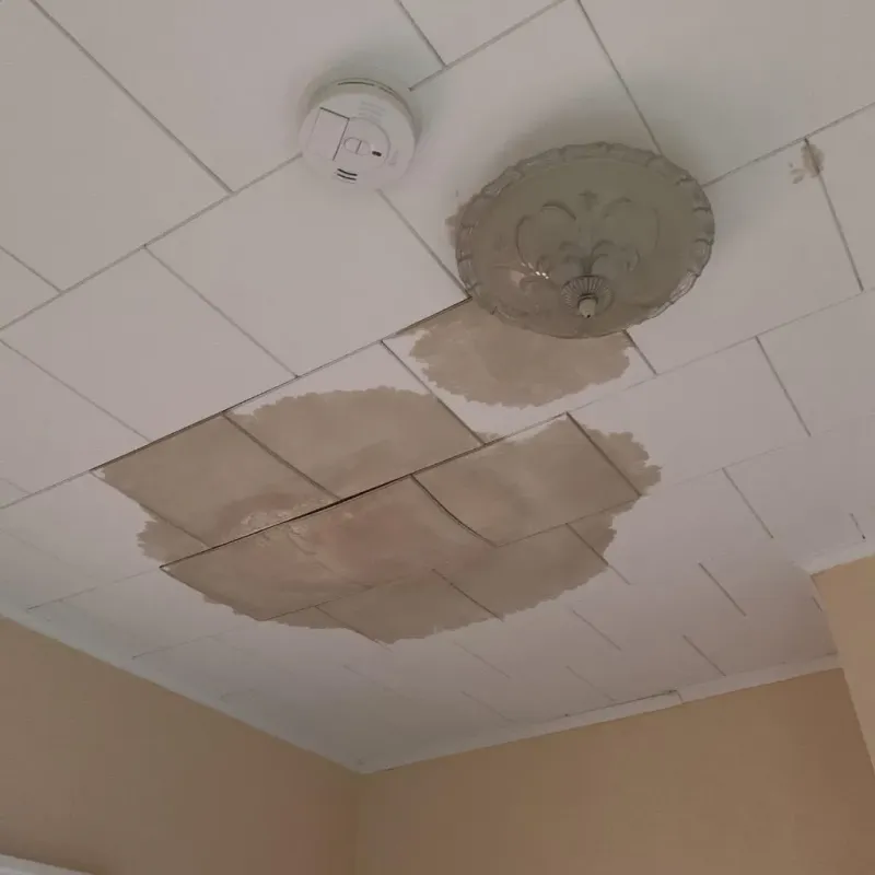 Ceiling Water Damage Repair in Lake Elmo, MN